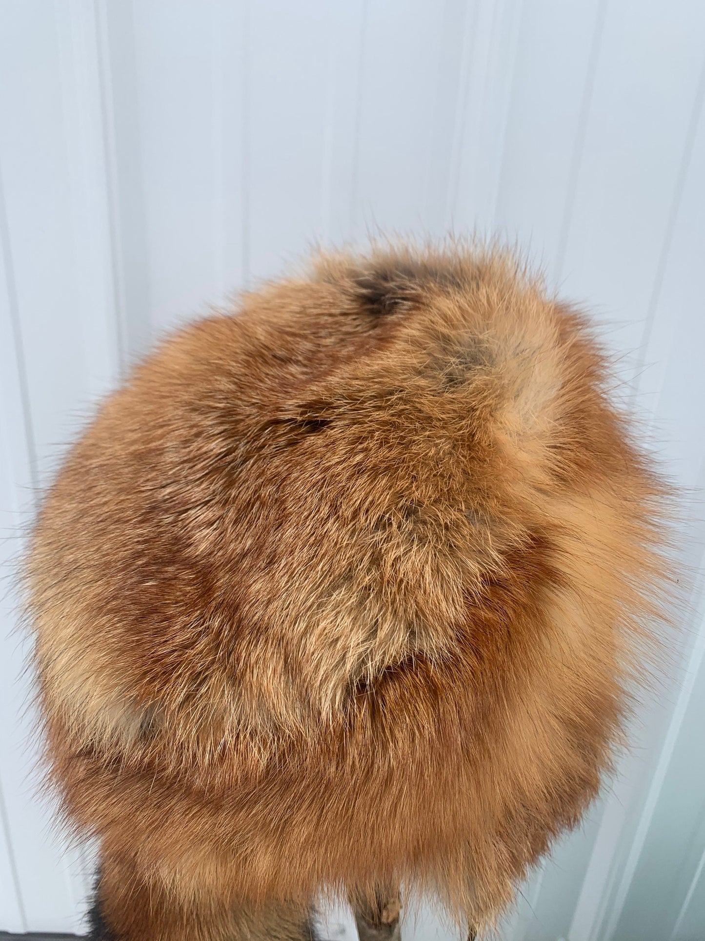 Authentic Wild Fox trapper hat, Fox fur hat, lined fur hat, winter hat, trapper hat, wild fox fur hat, fox hat