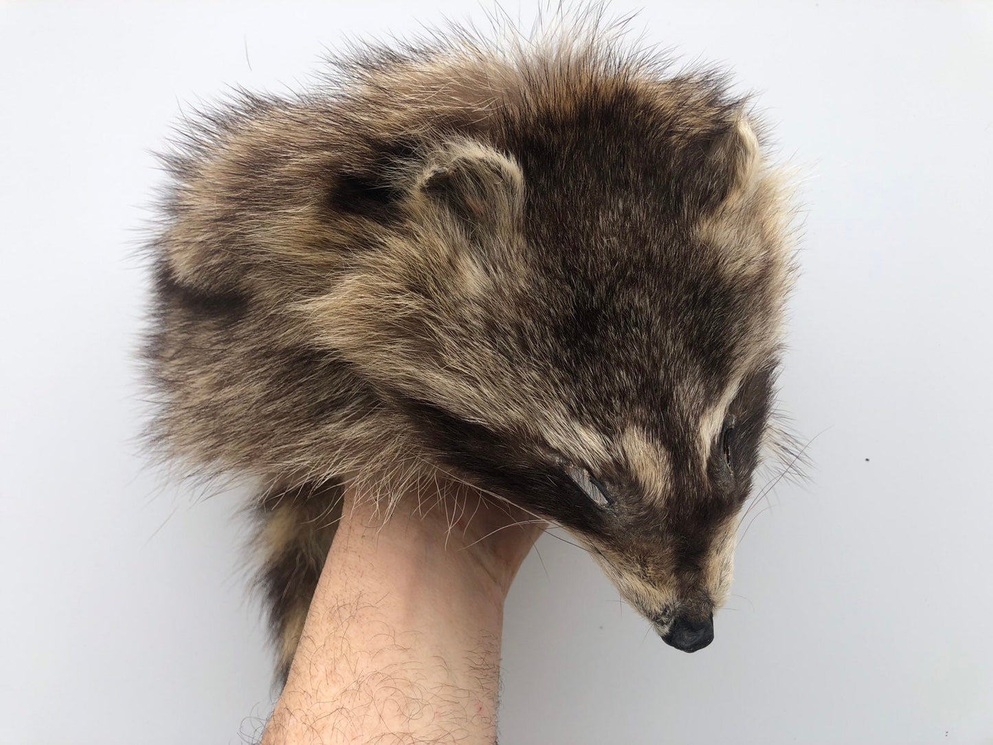 Davy Crockett Raccoon Hat, Fur Hat, Authentic Fur, Leather Lined,