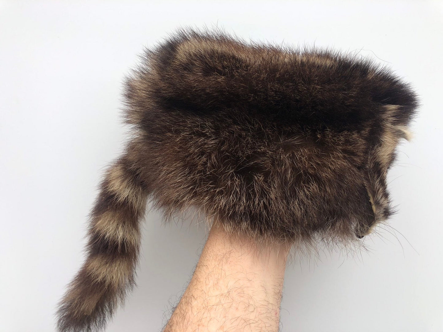 Davy Crockett Raccoon Hat, Fur Hat, Authentic Fur, Leather Lined,