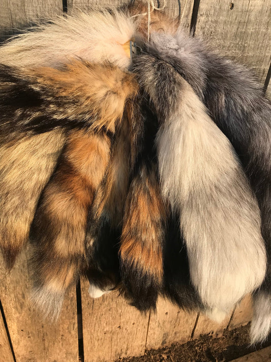 Tanned Red Fox tail, Raccoon Tail, Silver Fox, Coyote, Tail Keychain, Keychain, Tanned Tails, Blue Fox Tails