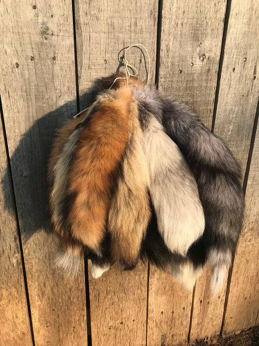 Tanned Red Fox tail, Raccoon Tail, Silver Fox, Coyote, Tail Keychain, Keychain, Tanned Tails, Blue Fox Tails